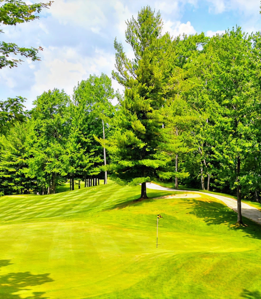 Golf course with trees and a flag.